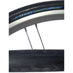 Terry Tellus PT Tire 650 x 28c