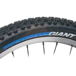 Giant FlatGuard Path