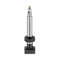 Giant Road Disc Wheelsystem Tubeless Valve Stems - 2/PKG