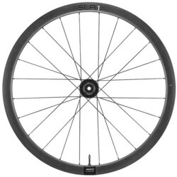 Giant SLR 1 36 Disc Rear