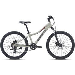 Giant XtC Jr Disc 24