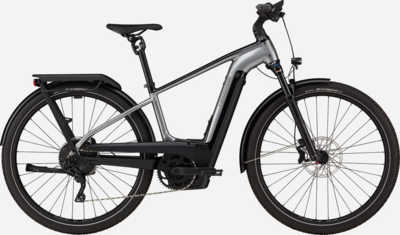 Cannondale Tesoro Neo X 1