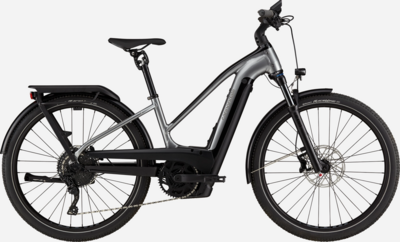 Cannondale Tesoro Neo X 1 StepThru