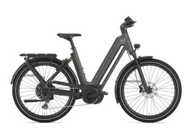 Gazelle Bikes Eclipse T11+ Low