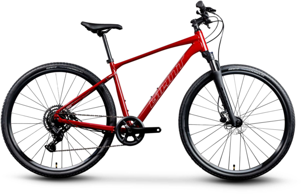 Giant Roam Disc 2
